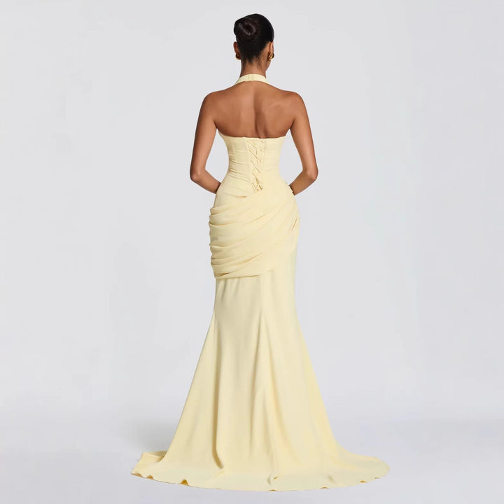 Erin maxi dress with an open back, a back tie for a fitted waist, and a pleated design