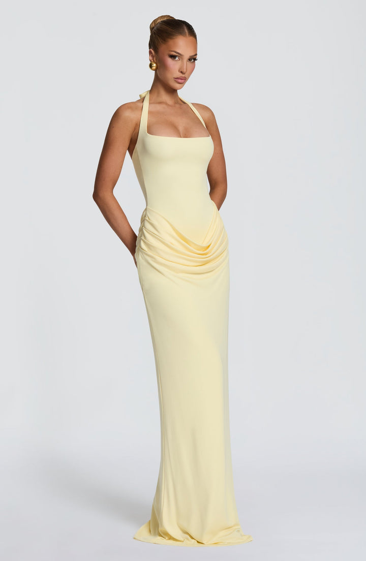 Sasha - Pleated maxi dress with an open back