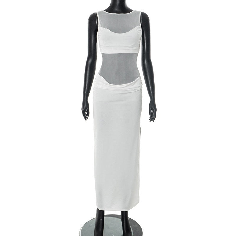 Albina pleated and mesh maxi dress
