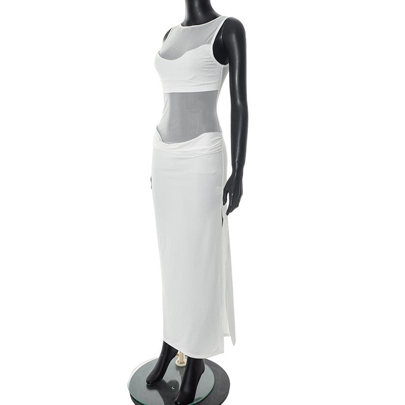 Albina pleated and mesh maxi dress