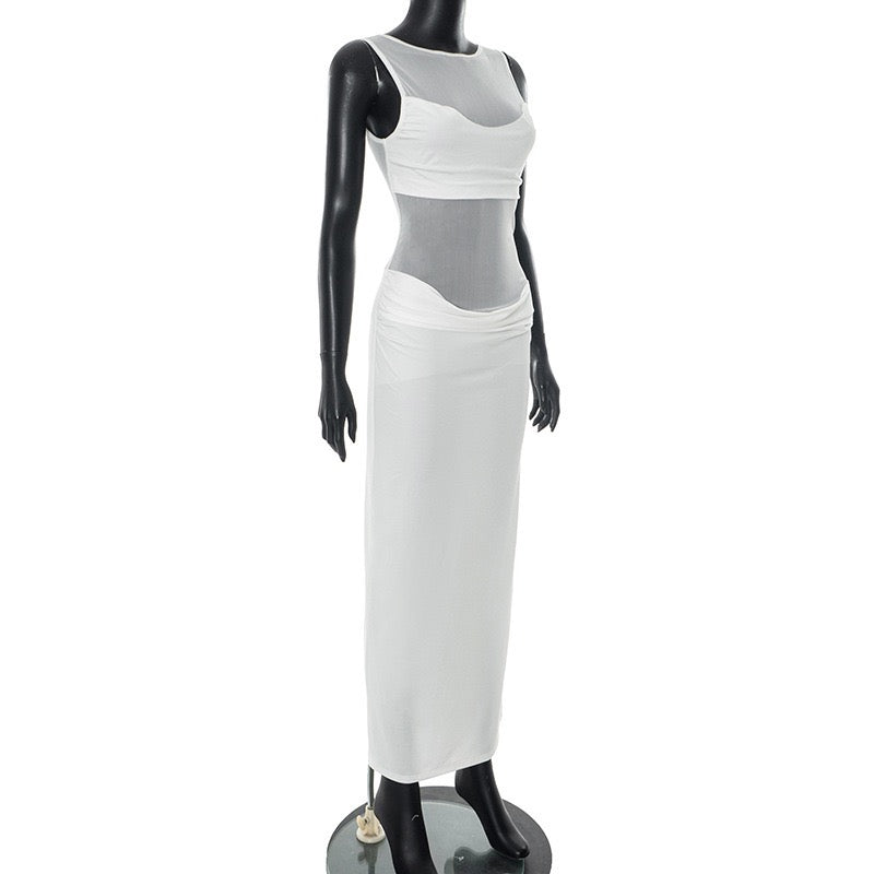 Albina pleated and mesh maxi dress