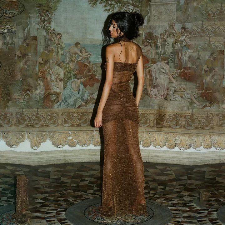 Strapless Maxi Dress with Glitter Mesh and Ruching Detail - Haisley