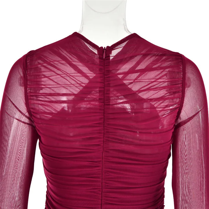 Fitted ruched mini dress with mesh design - Eddie